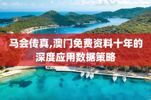 馬會傳真,澳門免費資料十年的深度應(yīng)用數(shù)據(jù)策略