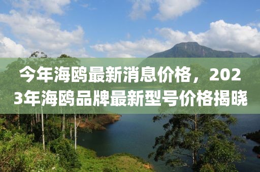 今年海鷗最新消息價格，2023年海鷗品牌最新型號價格揭曉