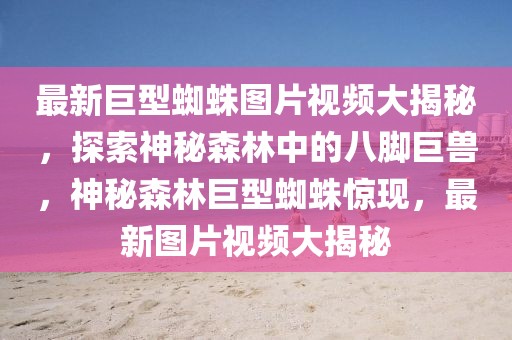 最新巨型蜘蛛圖片視頻大揭秘，探索神秘森林中的八腳巨獸，神秘森林巨型蜘蛛驚現，最新圖片視頻大揭秘