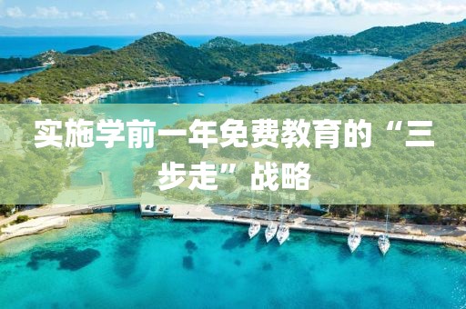 實施學前一年免費教育的“三步走”戰略