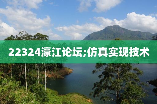 22324濠江論壇;仿真實現技術