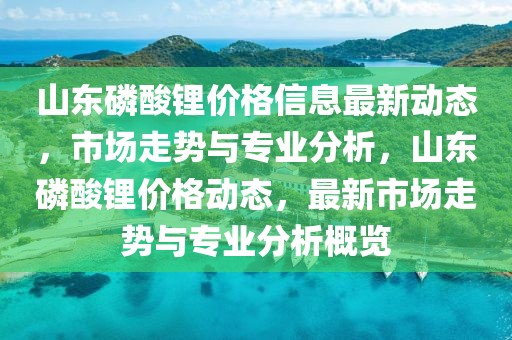 山東磷酸鋰價格信息最新動態，市場走勢與專業分析，山東磷酸鋰價格動態，最新市場走勢與專業分析概覽
