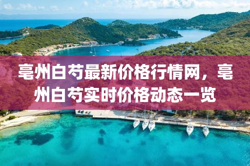 亳州白芍最新價格行情網，亳州白芍實時價格動態一覽