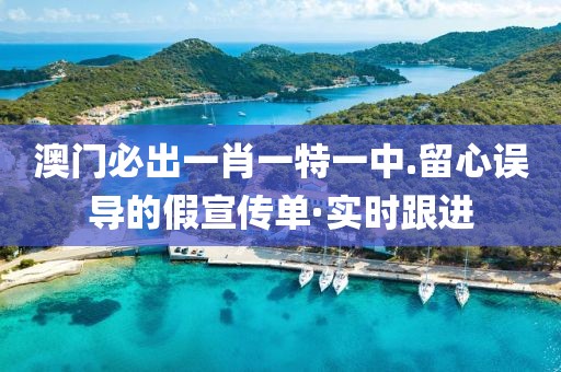 澳門必出一肖一特一中.留心誤導的假宣傳單·實時跟進