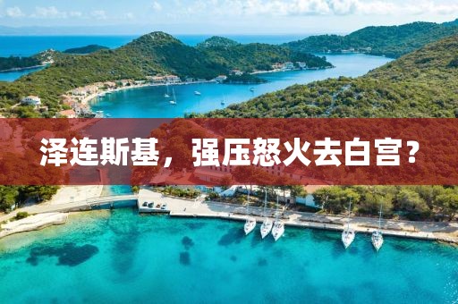 澤連斯基，強壓怒火去白宮？