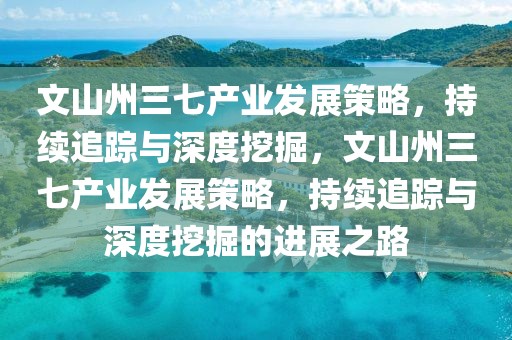 文山州三七產(chǎn)業(yè)發(fā)展策略，持續(xù)追蹤與深度挖掘，文山州三七產(chǎn)業(yè)發(fā)展策略，持續(xù)追蹤與深度挖掘的進展之路