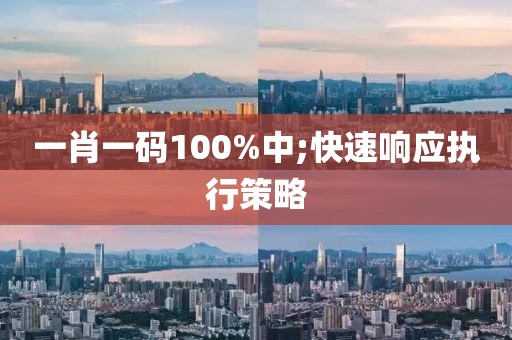 一肖一碼100%中;快速響應執行策略