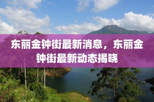 東麗金鐘街最新消息，東麗金鐘街最新動態揭曉
