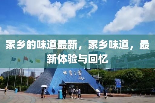 家鄉的味道最新，家鄉味道，最新體驗與回憶
