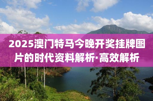 2025澳門特馬今晚開獎掛牌圖片的時代資料解析·高效解析