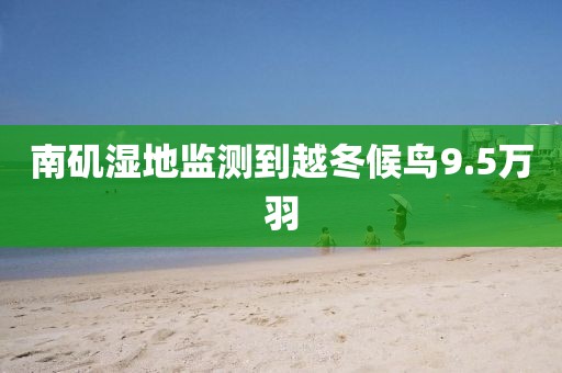 南磯濕地監(jiān)測到越冬候鳥9.5萬羽