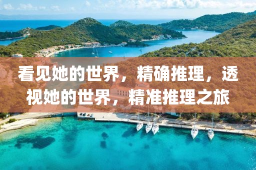 看見(jiàn)她的世界，精確推理，透視她的世界，精準(zhǔn)推理之旅