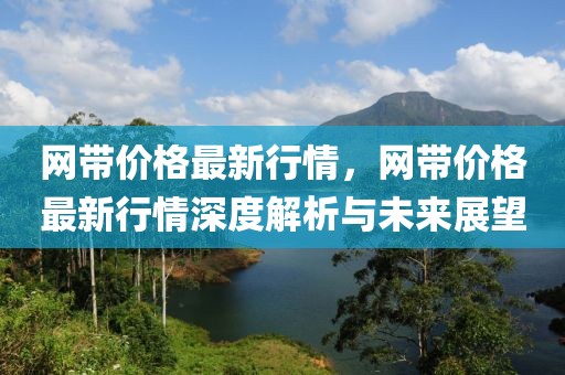 網(wǎng)帶價格最新行情，網(wǎng)帶價格最新行情深度解析與未來展望