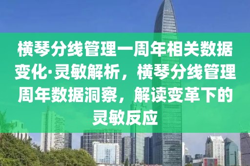 橫琴分線管理一周年相關數據變化·靈敏解析，橫琴分線管理周年數據洞察，解讀變革下的靈敏反應