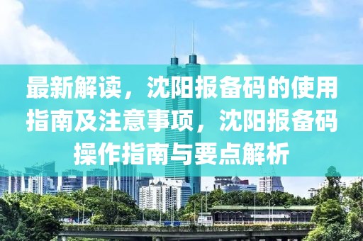 最新解讀，沈陽報備碼的使用指南及注意事項，沈陽報備碼操作指南與要點解析