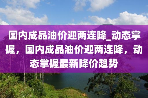 國內成品油價迎兩連降_動態掌握，國內成品油價迎兩連降，動態掌握最新降價趨勢