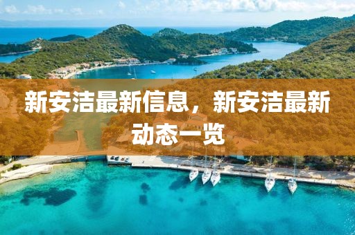 新安潔最新信息，新安潔最新動(dòng)態(tài)一覽