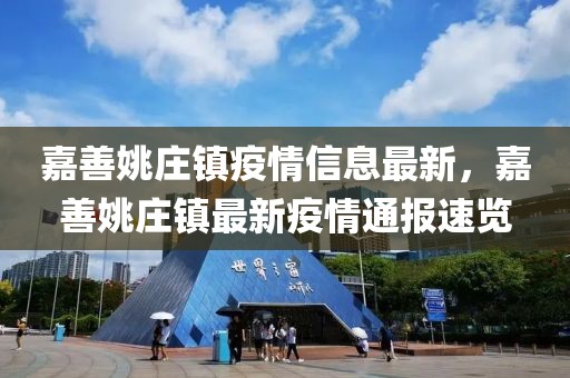 嘉善姚莊鎮疫情信息最新，嘉善姚莊鎮最新疫情通報速覽