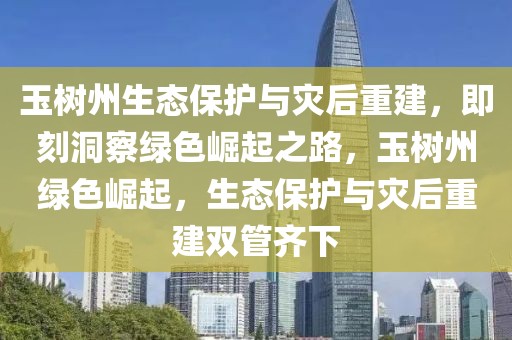 玉樹州生態保護與災后重建，即刻洞察綠色崛起之路，玉樹州綠色崛起，生態保護與災后重建雙管齊下