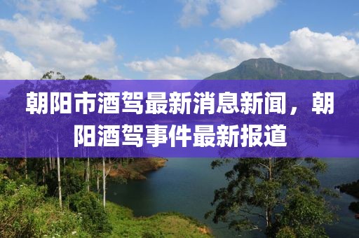 朝陽市酒駕最新消息新聞，朝陽酒駕事件最新報道