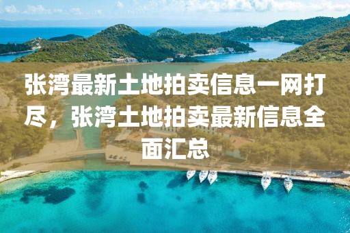 張灣最新土地拍賣信息一網打盡，張灣土地拍賣最新信息全面匯總