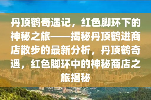 丹頂鶴奇遇記，紅色腳環下的神秘之旅——揭秘丹頂鶴進商店散步的最新分析，丹頂鶴奇遇，紅色腳環中的神秘商店之旅揭秘