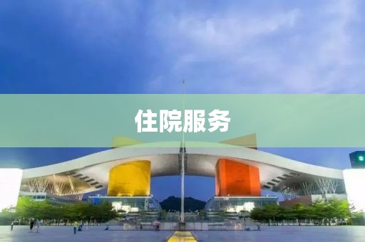 住院服務