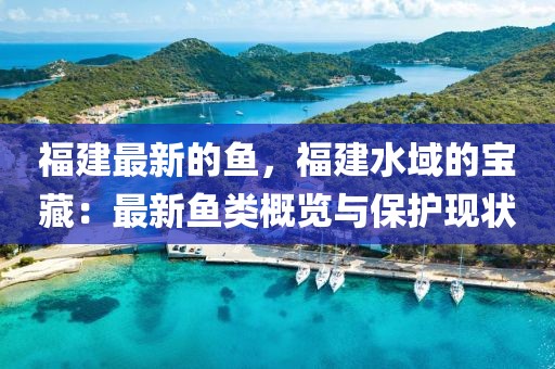 2025年3月18日 第76頁