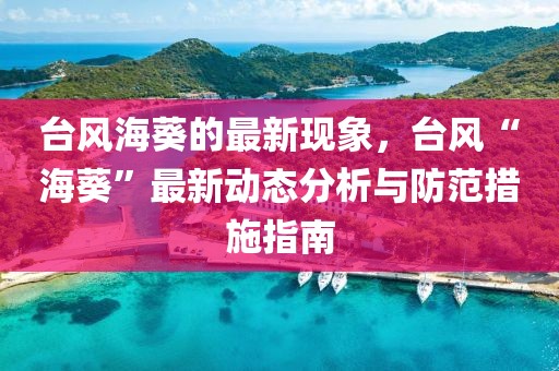 臺風海葵的最新現象，臺風“海葵”最新動態分析與防范措施指南