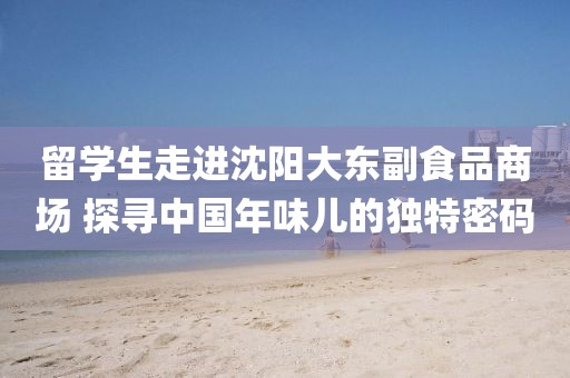 留學生走進沈陽大東副食品商場 探尋中國年味兒的獨特密碼