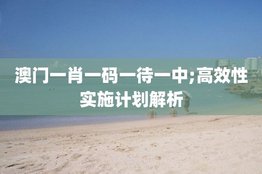 澳門(mén)一肖一碼一待一中;高效性實(shí)施計(jì)劃解析