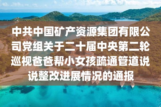 中共中國礦產資源集團有限公司黨組關于二十屆中央第二輪巡視爸爸幫小女孩疏通管道說說整改進展情況的通報