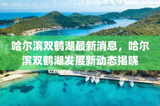 哈爾濱雙鶴湖最新消息，哈爾濱雙鶴湖發展新動態揭曉