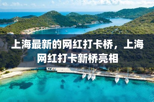 上海最新的網紅打卡橋，上海網紅打卡新橋亮相