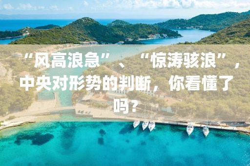 “風高浪急”、“驚濤駭浪”，中央對形勢的判斷，你看懂了嗎？
