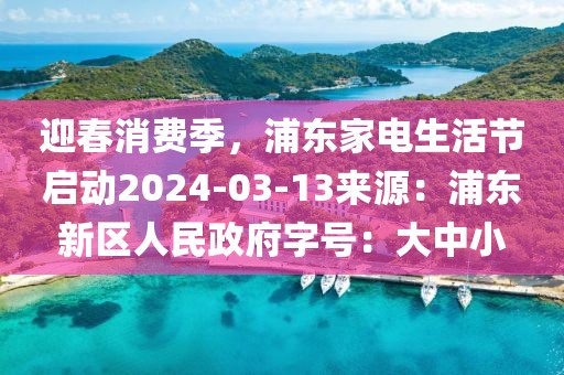 迎春消費季，浦東家電生活節啟動2024-03-13來源：浦東新區人民政府字號：大中小