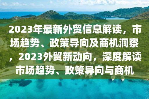 2023年最新外貿信息解讀，市場趨勢、政策導向及商機洞察，2023外貿新動向，深度解讀市場趨勢、政策導向與商機