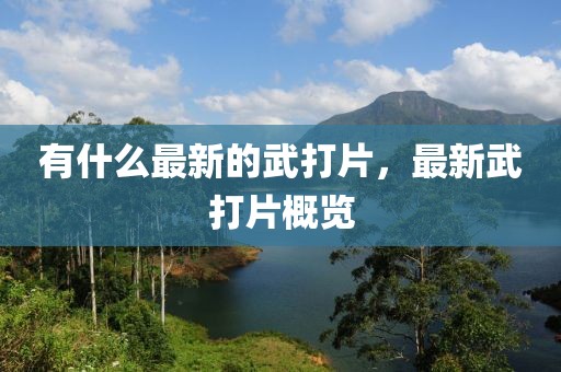 有什么最新的武打片，最新武打片概覽