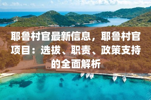 耶魯村官最新信息，耶魯村官項(xiàng)目：選拔、職責(zé)、政策支持的全面解析