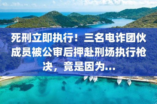 死刑立即執行！三名電詐團伙成員被公審后押赴刑場執行槍決，竟是因為…