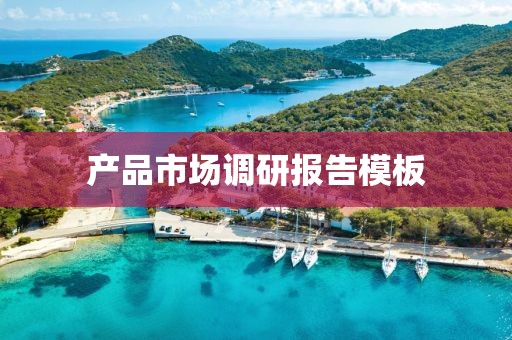 產品市場調研報告模板