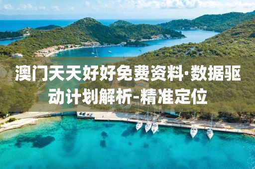 澳門天天好好免費資料·數據驅動計劃解析-精準定位