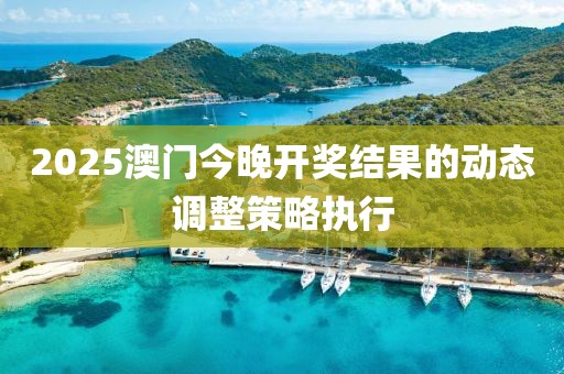 2025澳門今晚開獎結果的動態調整策略執行