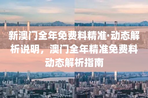新澳門全年免費料精準·動態解析說明，澳門全年精準免費料動態解析指南