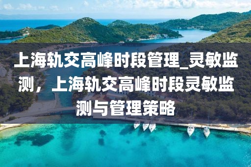 上海軌交高峰時段管理_靈敏監測，上海軌交高峰時段靈敏監測與管理策略
