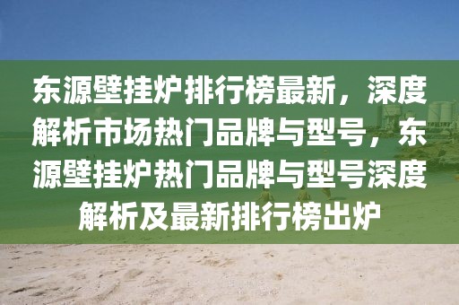 東源壁掛爐排行榜最新，深度解析市場熱門品牌與型號，東源壁掛爐熱門品牌與型號深度解析及最新排行榜出爐