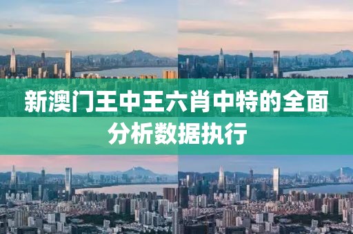 新澳門王中王六肖中特的全面分析數據執行