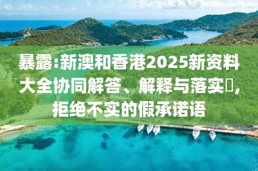暴露:新澳和香港2025新資料大全協同解答、解釋與落實?,拒絕不實的假承諾語