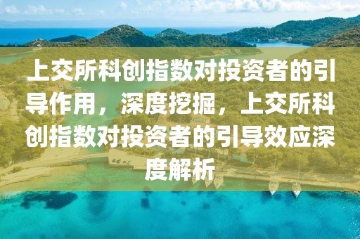 上交所科創(chuàng)指數(shù)對投資者的引導作用，深度挖掘，上交所科創(chuàng)指數(shù)對投資者的引導效應深度解析