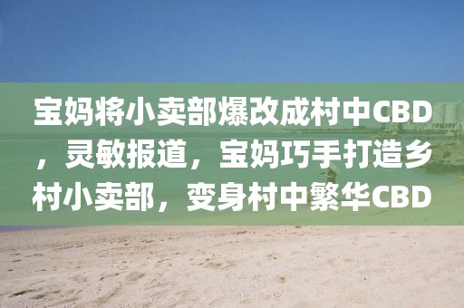 寶媽將小賣部爆改成村中CBD，靈敏報道，寶媽巧手打造鄉村小賣部，變身村中繁華CBD